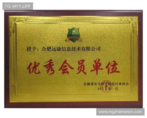 安全登录ag贵宾厅会员账户，保护个人信息的实用技巧与注意事项